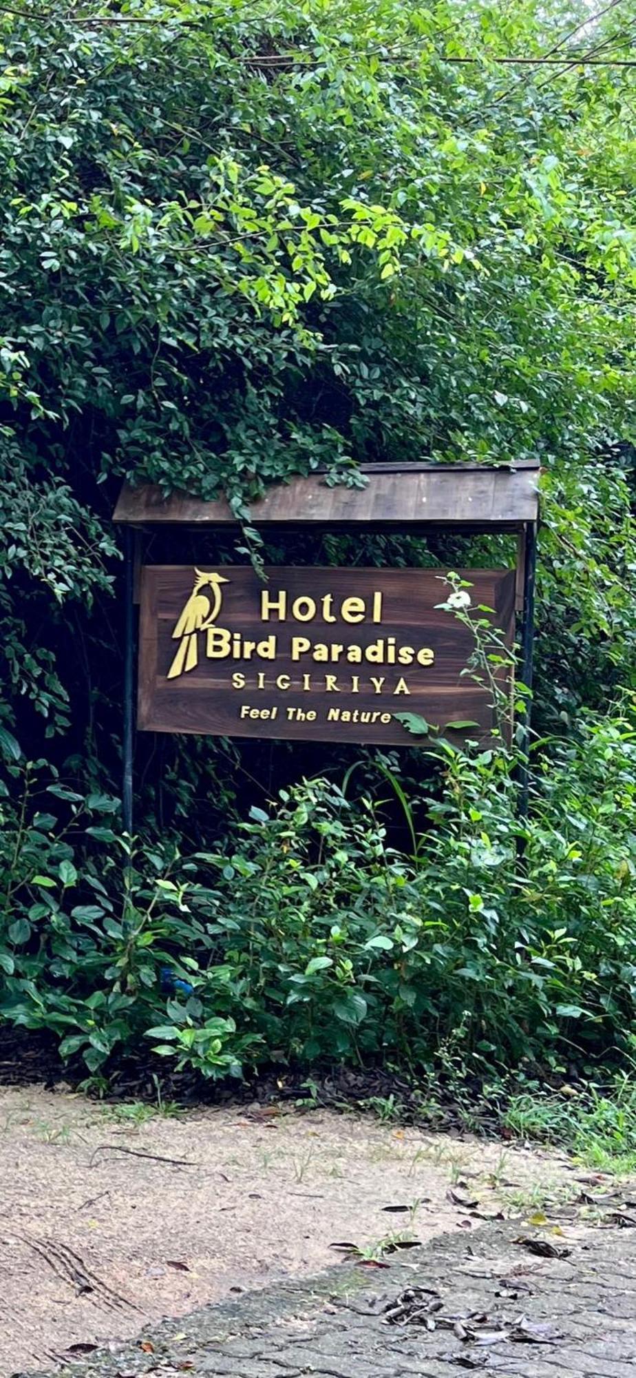 Hotel Bird Paradise 锡吉里亚 外观 照片